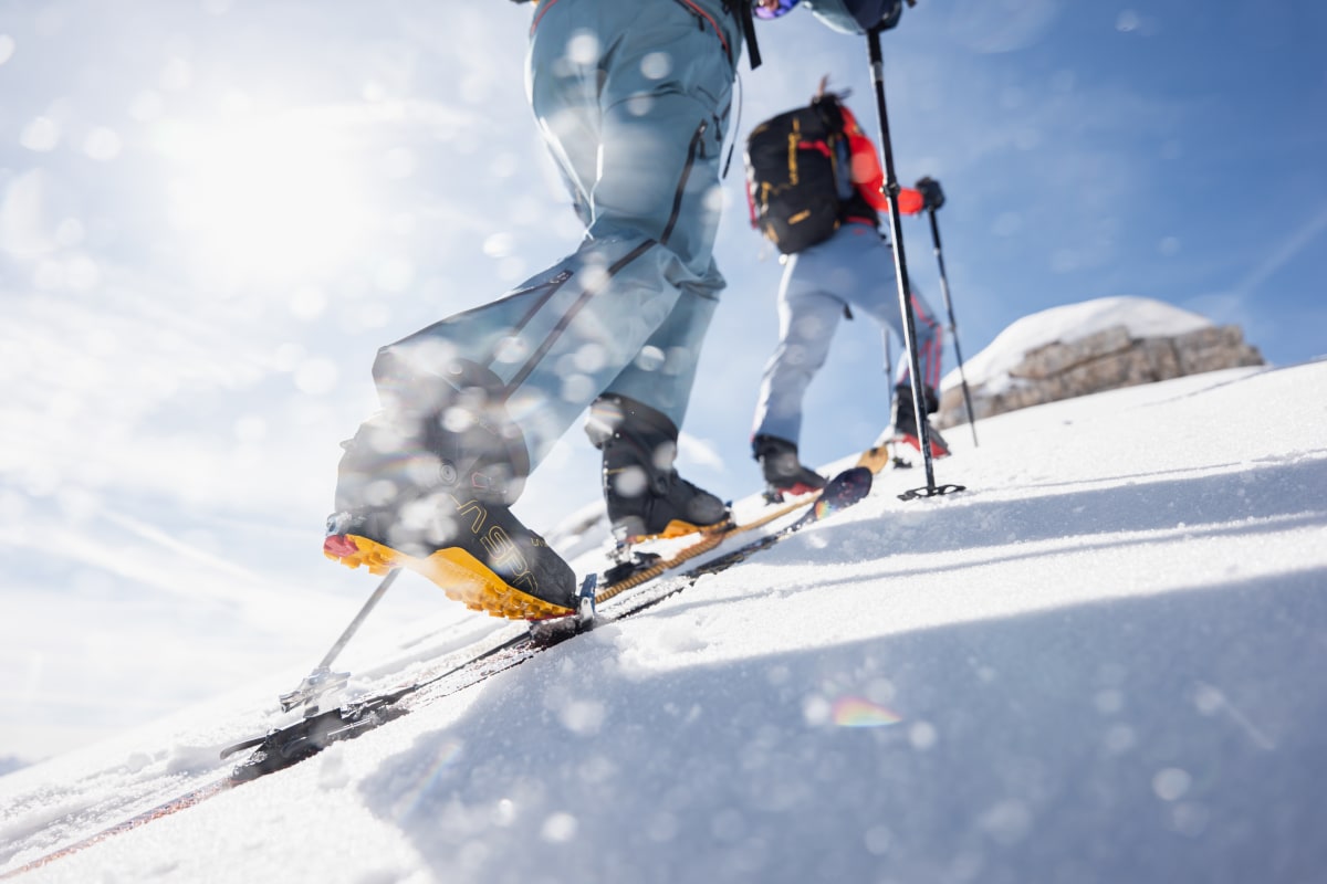 Backcountry la sportiva online